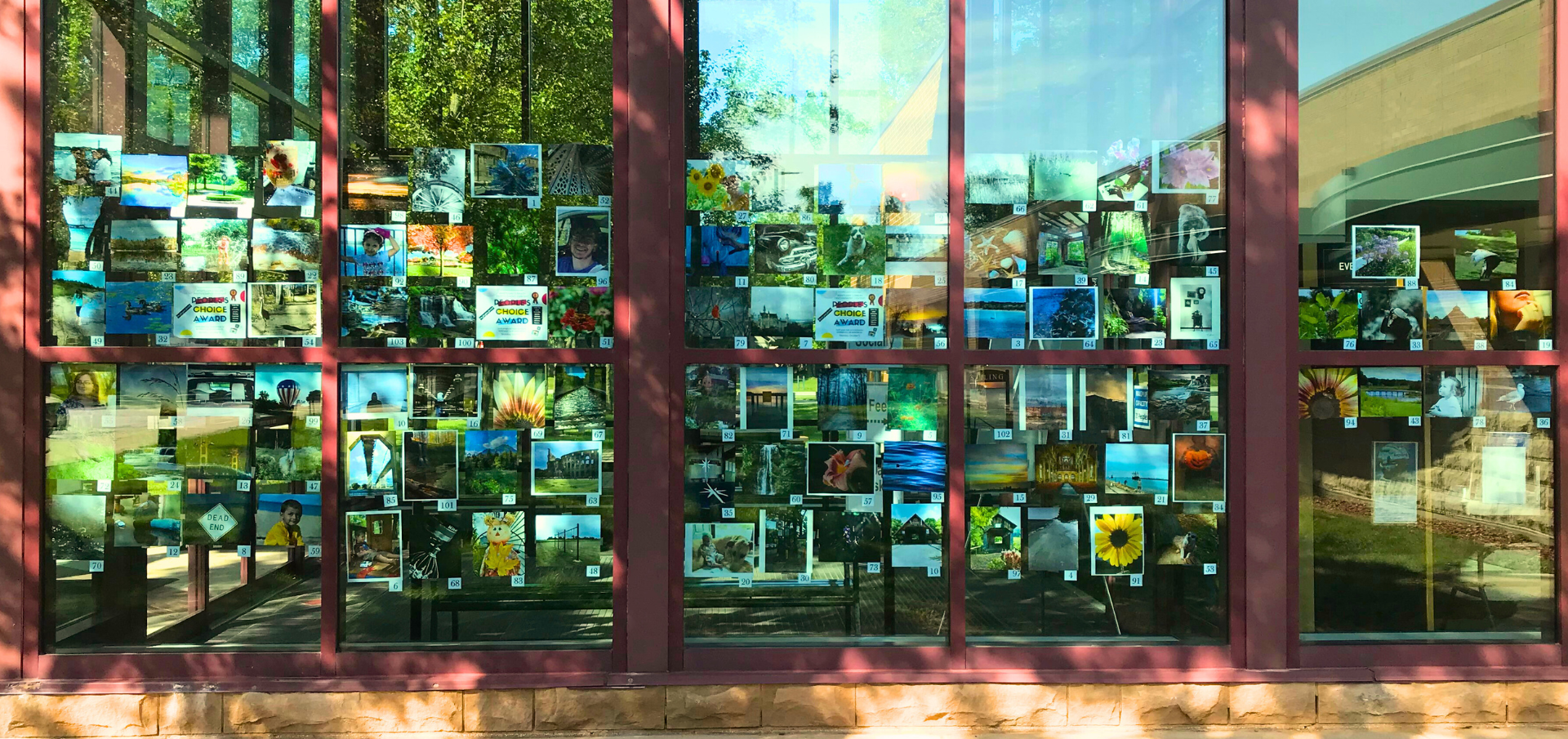 Annual Photography Contest