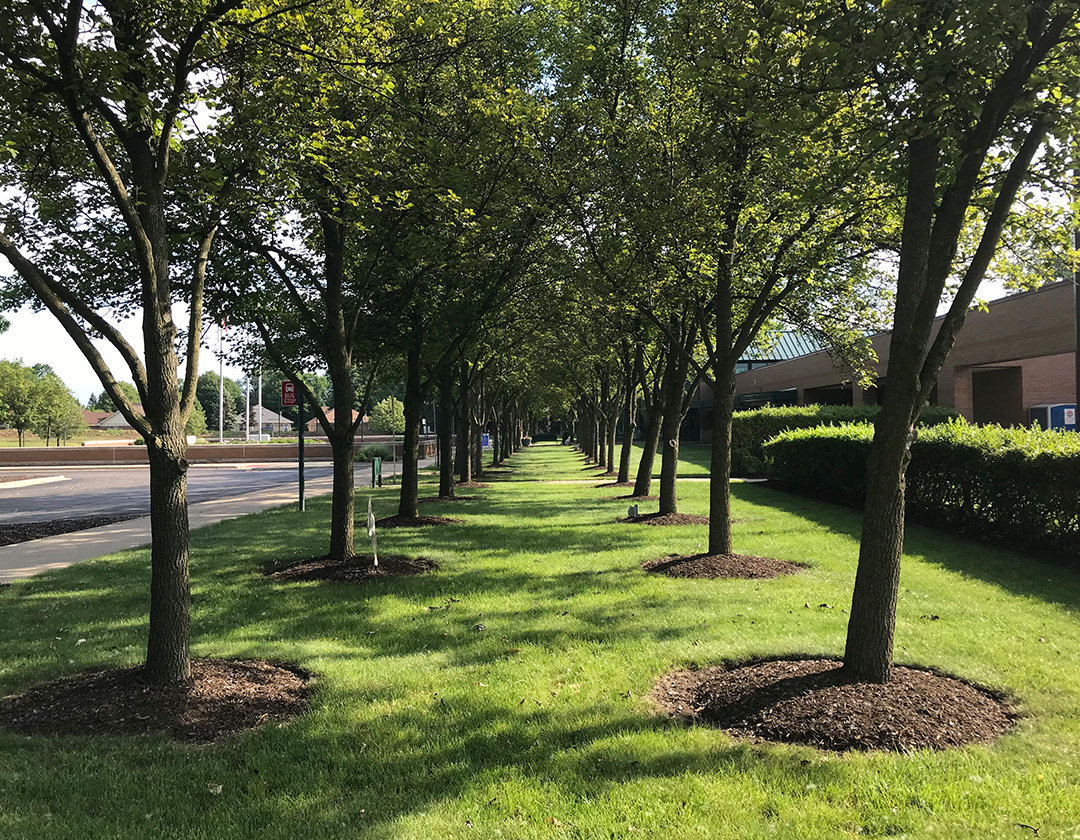 Creating Connections